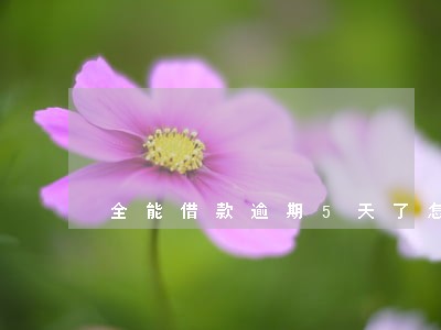 全能借款逾期5天了怎么办 全能借款逾期5天了怎么办