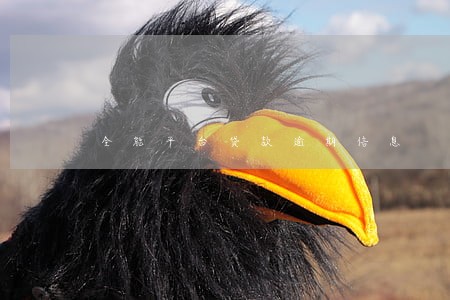 全能平台贷款逾期信息 全能平台贷款逾期信息