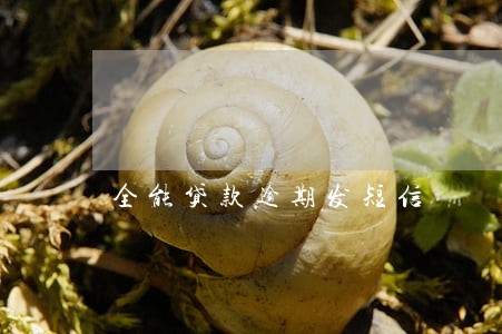 全能贷款逾期发短信 全能贷款逾期发短信