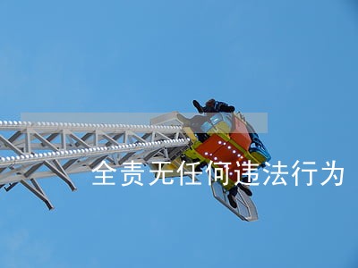 全责无任何违法行为 全责无任何违法行为