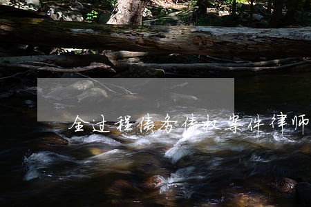 全过程债务债权案件律师代理商 全过程债务债权案件律师代理商