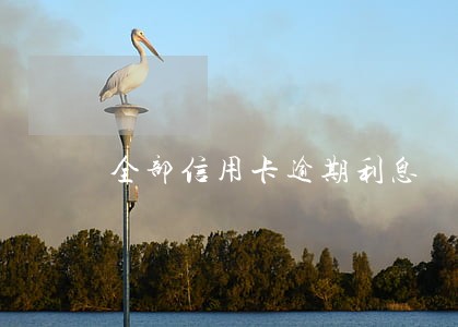 全部信用卡逾期利息