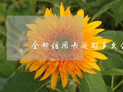 全部信用卡逾期多久会起诉 全部信用卡逾期多久会起诉
