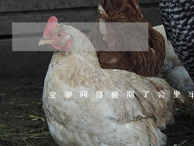 全部网贷逾期了会坐牢吗 全部网贷逾期了会坐牢吗