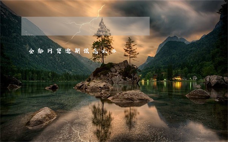全部网贷逾期该怎么办 全部网贷逾期该怎么办
