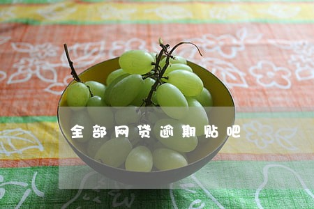 全部网贷逾期贴吧 全部网贷逾期贴吧
