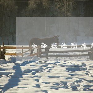 全部被法院冻结 全部被法院冻结