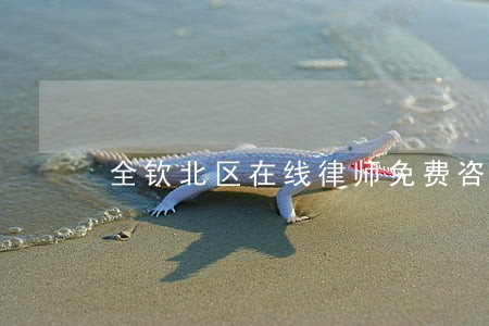 全钦北区在线律师免费咨询 全钦北区在线律师免费咨询