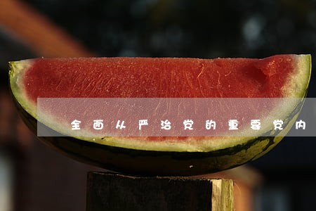 全面从严治党的重要党内法规试题 全面从严治党的重要党内法规试题