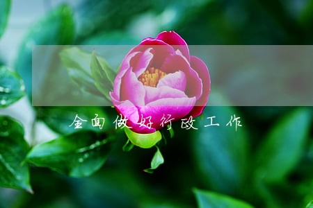 全面做好行政工作