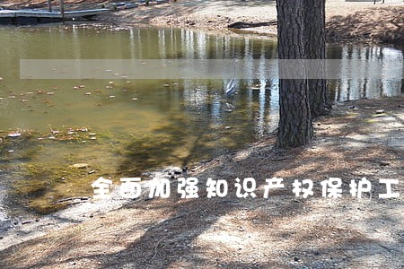 全面加强知识产权保护工作 全面加强知识产权保护工作