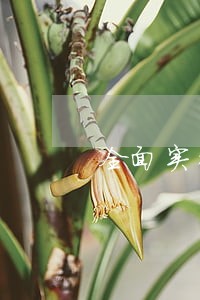 全面实行法律顾问制度 全面实行法律顾问制度