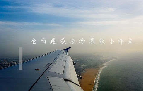 全面建设法治国家小作文 全面建设法治国家小作文