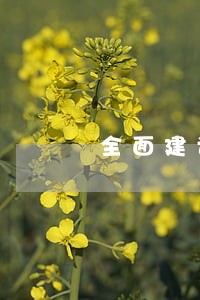 全面建设法治宁远 全面建设法治宁远