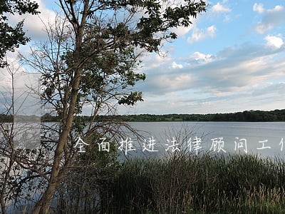全面推进法律顾问工作 全面推进法律顾问工作