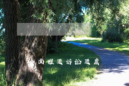 全面推进诉讼进度 全面推进诉讼进度