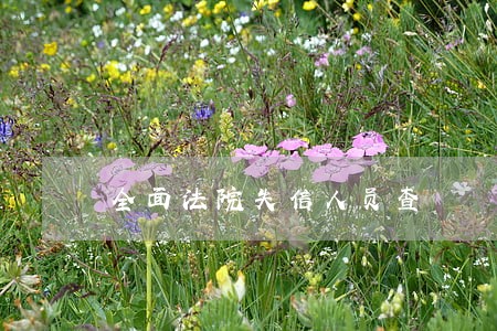 全面法院失信人员查 全面法院失信人员查