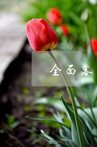 全面落实司法责任制经验 全面落实司法责任制经验