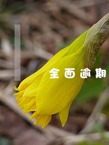 全面逾期96天后有减免通知吗