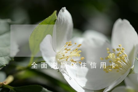 全面逾期保住信用卡 全面逾期保住信用卡