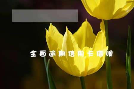 全面逾期信用卡借呗 全面逾期信用卡借呗