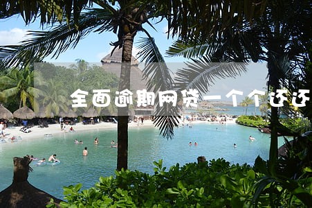 全面逾期网贷一个个还还是怎么还