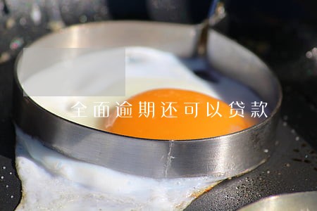全面逾期还可以贷款 全面逾期还可以贷款