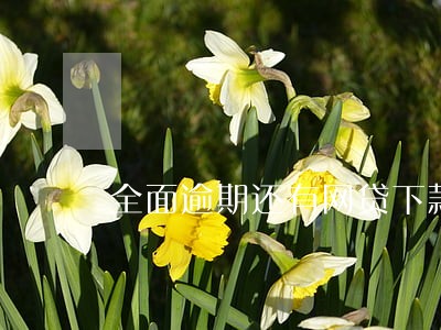 全面逾期还有网贷下款吗 全面逾期还有网贷下款吗