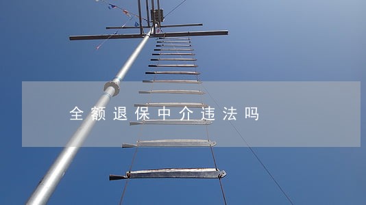 全额退保中介违法吗 全额退保中介违法吗