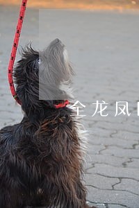 全龙凤区行政类在线律师免费咨询 全龙凤区行政类在线律师免费咨询