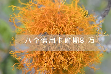 八个信用卡逾期8万 八个信用卡逾期8万