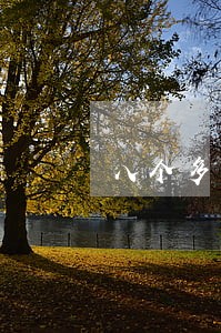 八个多月孕妇开车违法吗 八个多月孕妇开车违法吗