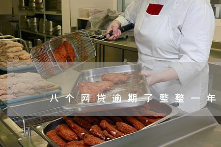 八个网贷逾期了整整一年 八个网贷逾期了整整一年