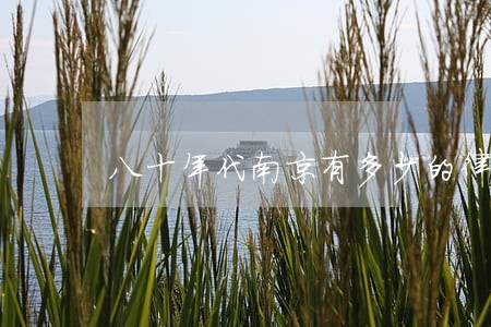 八十年代南京有多少的律师