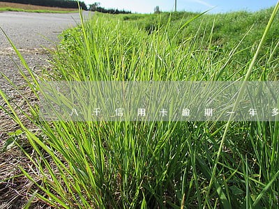 八千信用卡逾期一年多少利息 八千信用卡逾期一年多少利息