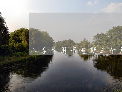八千信用卡逾期三个月利息 八千信用卡逾期三个月利息