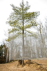 八处违法用地建筑被拆 八处违法用地建筑被拆