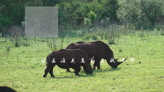 八宿县海关商检在线律师