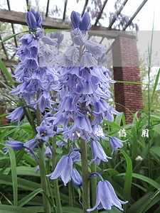 八张信用卡总共六万逾期一年 八张信用卡总共六万逾期一年