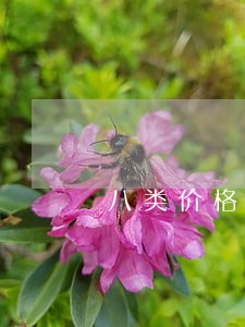 八类价格违法最高罚五百万 八类价格违法最高罚五百万