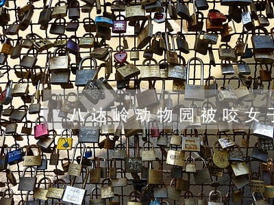 八达岭动物园被咬女子离婚了吗 八达岭动物园被咬女子离婚了吗
