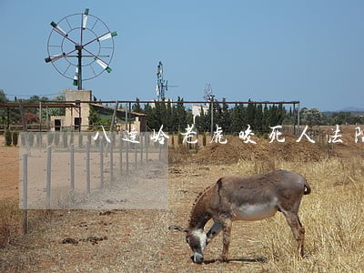 八达岭老虎咬死人法院判决结果