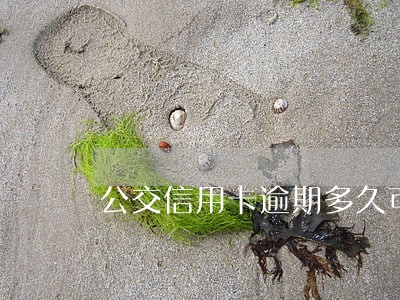 公交信用卡逾期多久可以办 公交信用卡逾期多久可以办