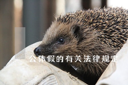 公休假的有关法律规定 公休假的有关法律规定