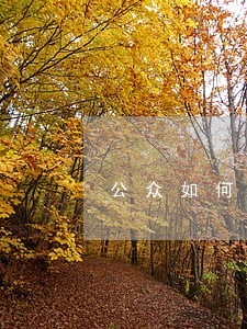 公众如何在立法上参与环境保护的体现 公众如何在立法上参与环境保护的体现