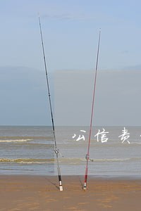 公信责任状总结