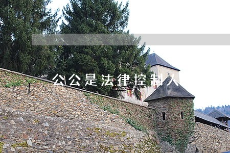 公公是法律控制人 公公是法律控制人