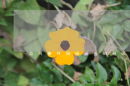 公共事件网络谣言的刑法规制 公共事件网络谣言的刑法规制