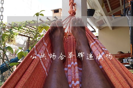 公共场合举牌违法吗