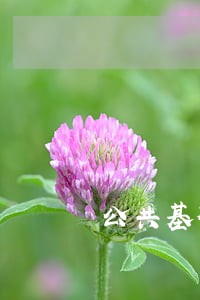 公共基础设施建设